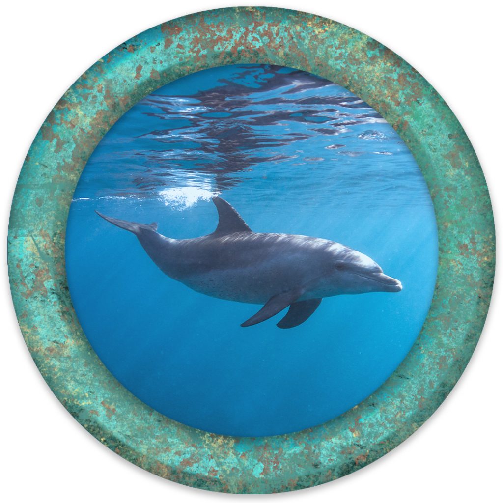 Dolphin sponsorship medallion for the 2026 Mad Hatter Ball featuring a dolphin swimming beneath the ocean surface inside a verdigris bronze porthole.