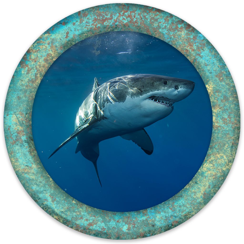 Shark sponsorship medallion for the 2026 Mad Hatter Ball featuring a great white shark inside a verdigris bronze porthole.