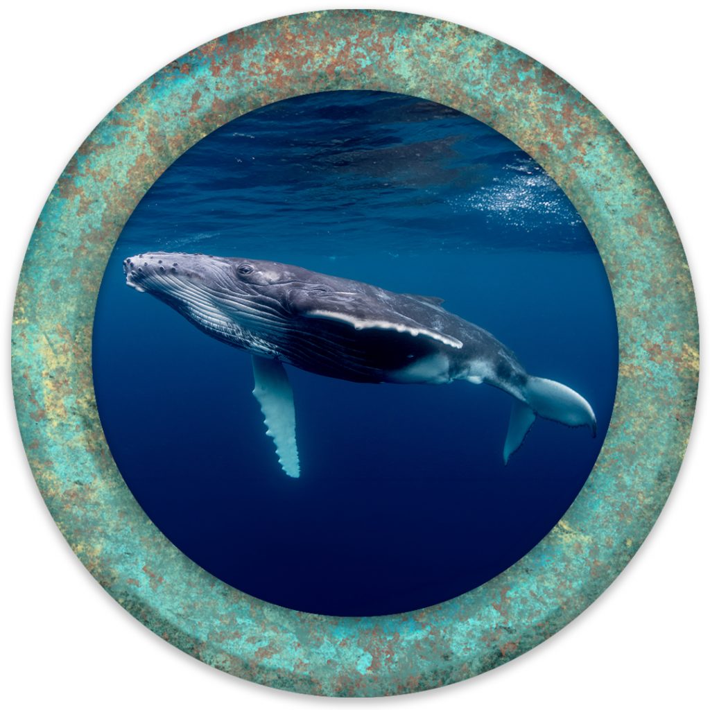 Whale sponsorship medallion for the 2026 Mad Hatter Ball featuring a humpback whale inside a verdigris bronze porthole.