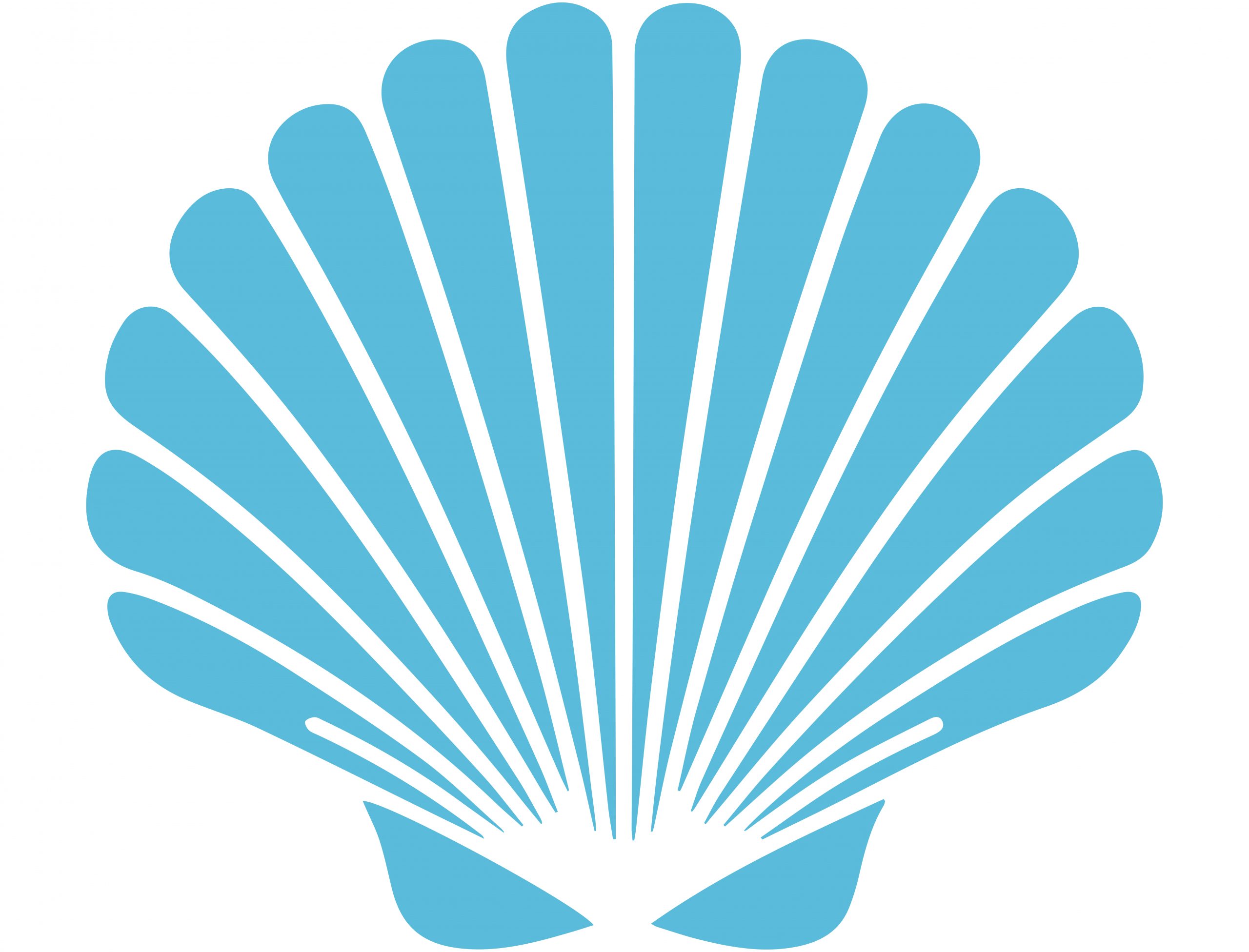 sea shell light blue
