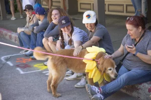 Spectators relax along the parade route with a dog wearing flower petals during the ArtRageous Parade