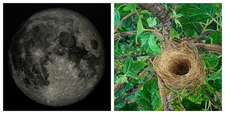 Diptych oil painting by Brian DePauli pairing a full moon with an empty bird’s nest among green leaves